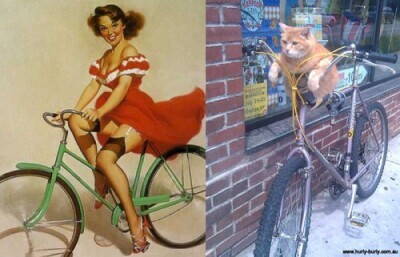 pinup_cats_04.jpg